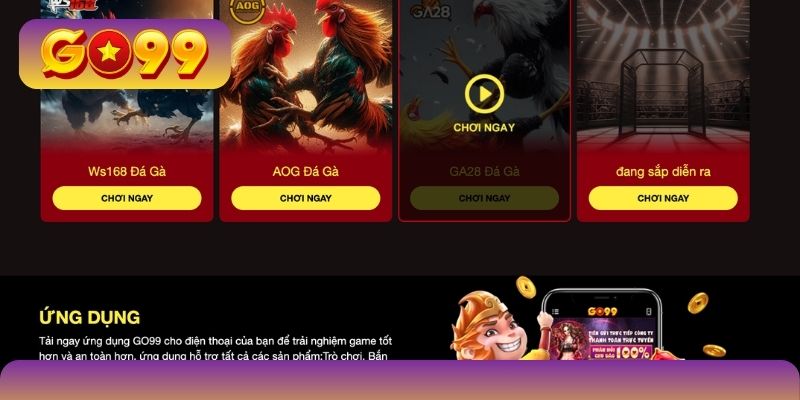 Tham gia cược chọi chiến kê kiếm bạc triệu